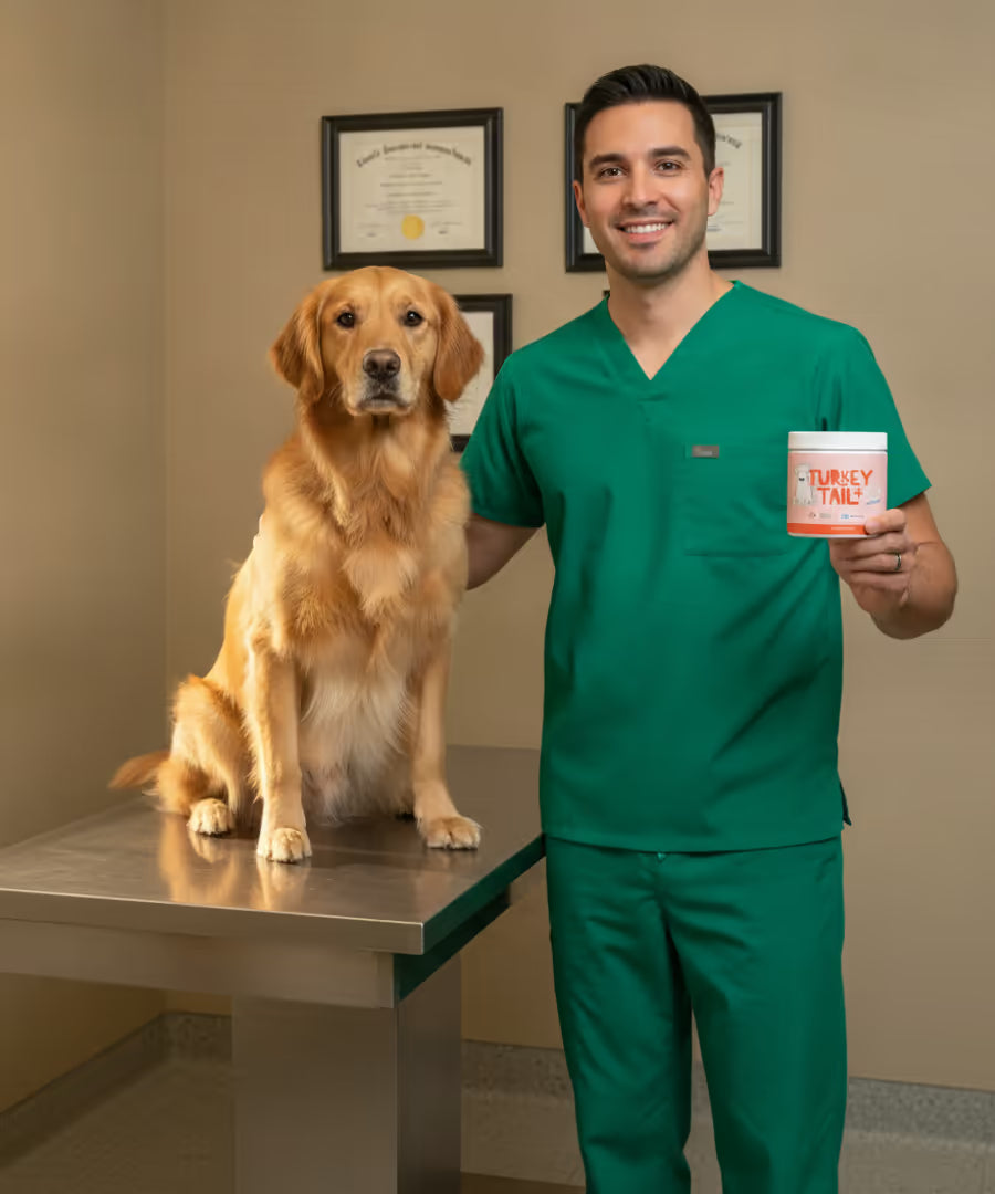 Dr. Sebastián Mora