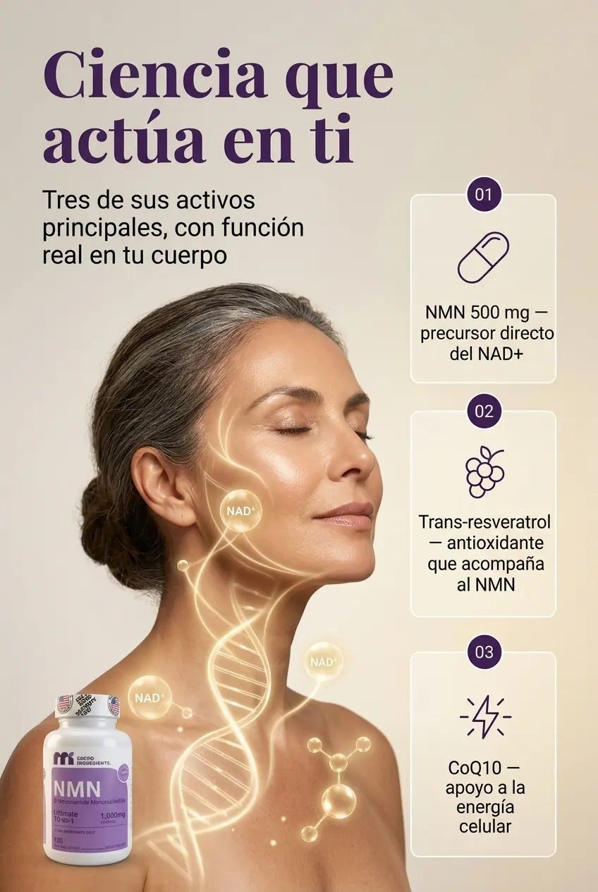 nmi lp04 autoridad