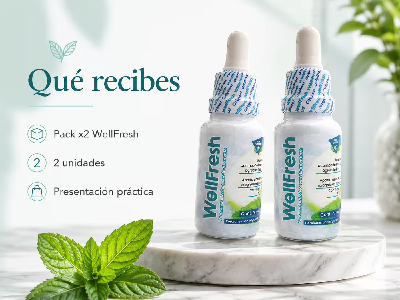 Qué recibes: tu pack de WellFresh, presentación visible y práctica.